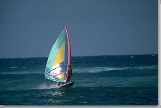 windsurf.jpg (22951 bytes)